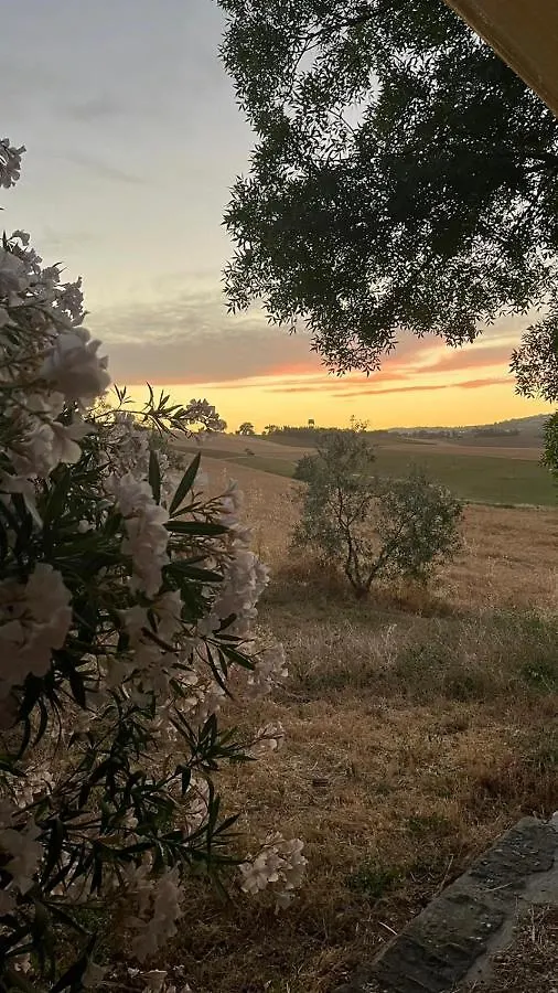 Agroturismo Agriturismo La Locandiera Montemerano